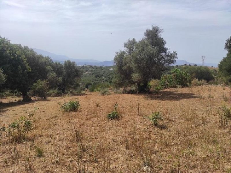 Karoti Kreta, Karoti: Grundstück mit Baugenehmigung und atemberaubendem Bergblick zu verkaufen Grundstück kaufen